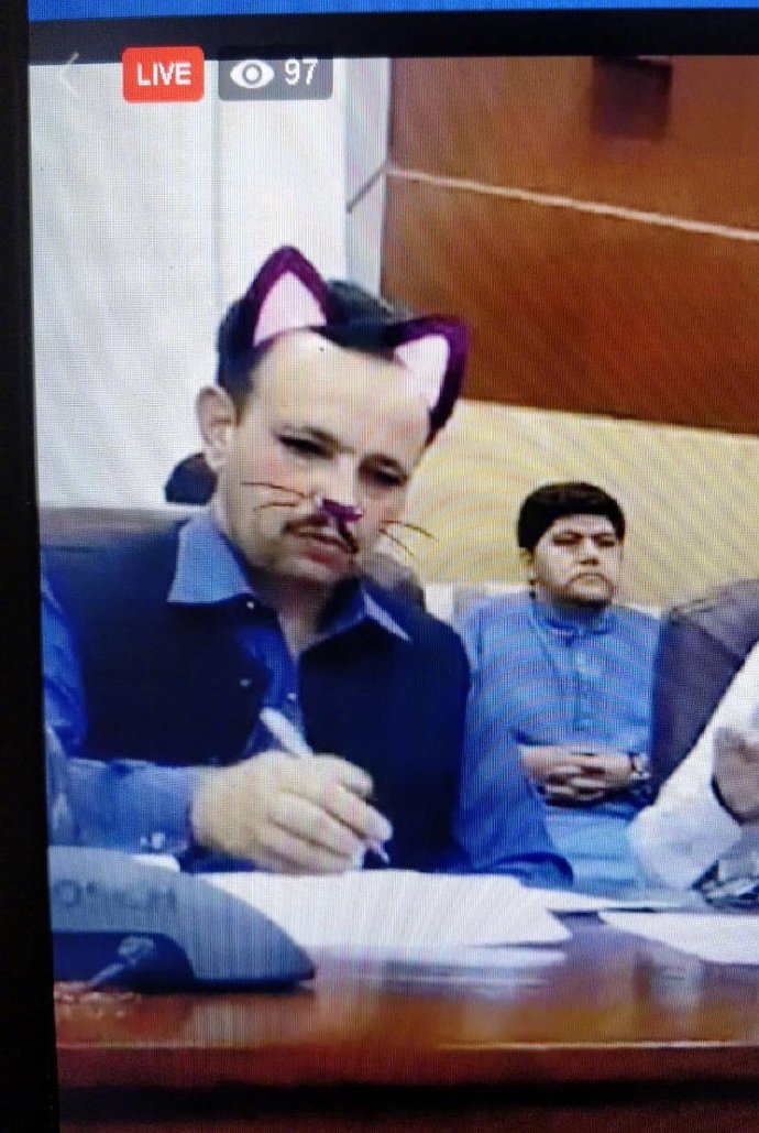 今日最佳，巴基斯坦网上直播的政府新闻发布会忘关猫猫滤镜！