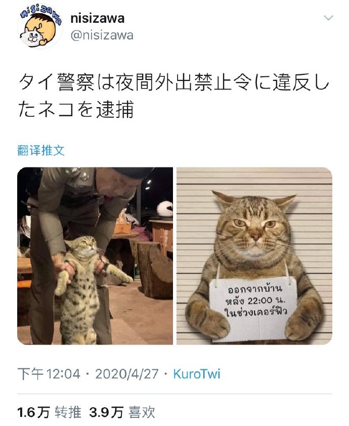 泰国警察逮捕了一只违反夜间外出禁令的猫[允悲][允悲]twi: nisizawa ​​​​