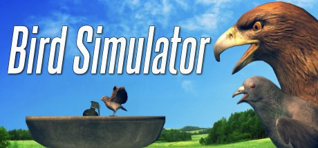 《鸟类模拟器 Bird Simulator》英文版百度云迅雷下载