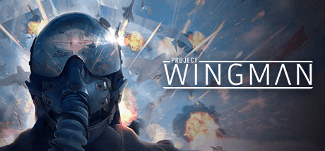《僚机计划 Project Wingman》中文版百度云迅雷下载