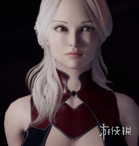 《惩戒魅魔》性感小皮衣白发美女捏脸MOD电脑版下载