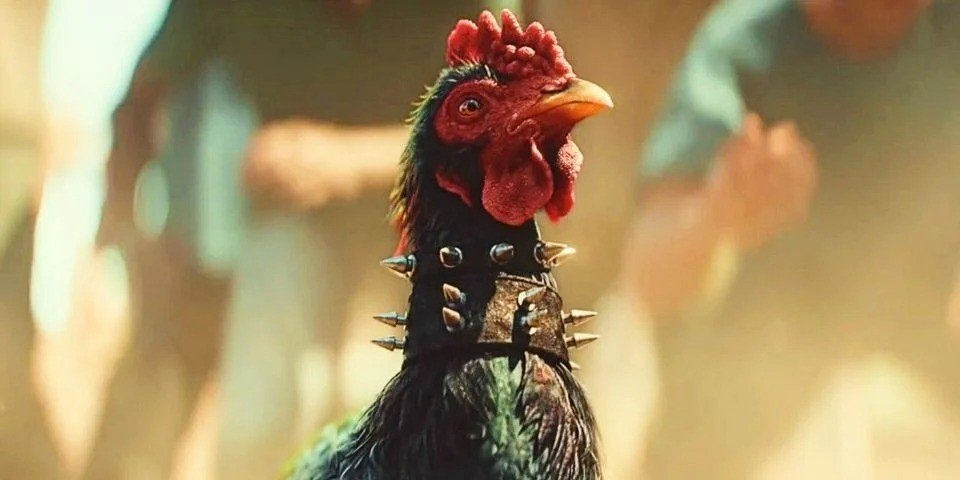 动物保护组织PETA谴责《孤岛惊魂6》斗鸡游戏过于残忍，这是虐待动物
