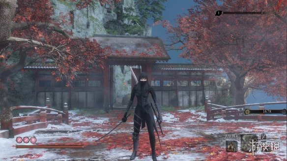 《只狼：影逝二度》洛奇英雄传美里无披风替换狼外观MOD电脑版下载