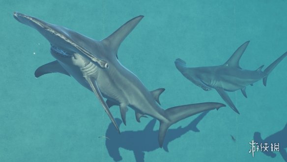 《侏罗纪世界：进化2》锤头鲨替换鱼龙MOD电脑版下载