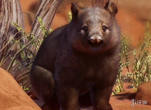 《动物园之星》增添南澳毛吻袋熊作为新物种MOD电脑版下载