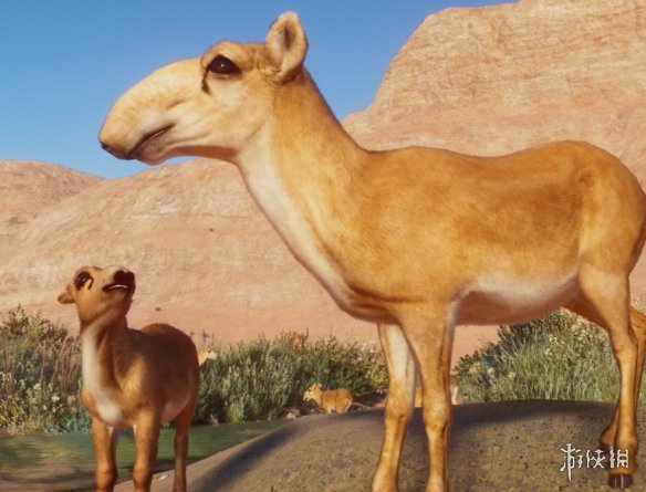 《动物园之星》增添高鼻羚羊作为新物种MOD电脑版下载