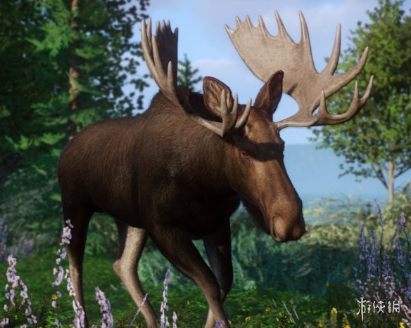 《动物园之星》增添欧亚驼鹿作为新物种MOD电脑版下载