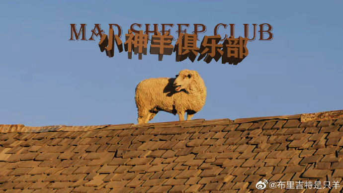 小神羊俱乐部：第二期百度云阿里云下载