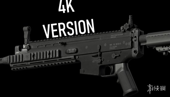 《严阵以待》MK16步枪纯黑纹理MOD电脑版下载