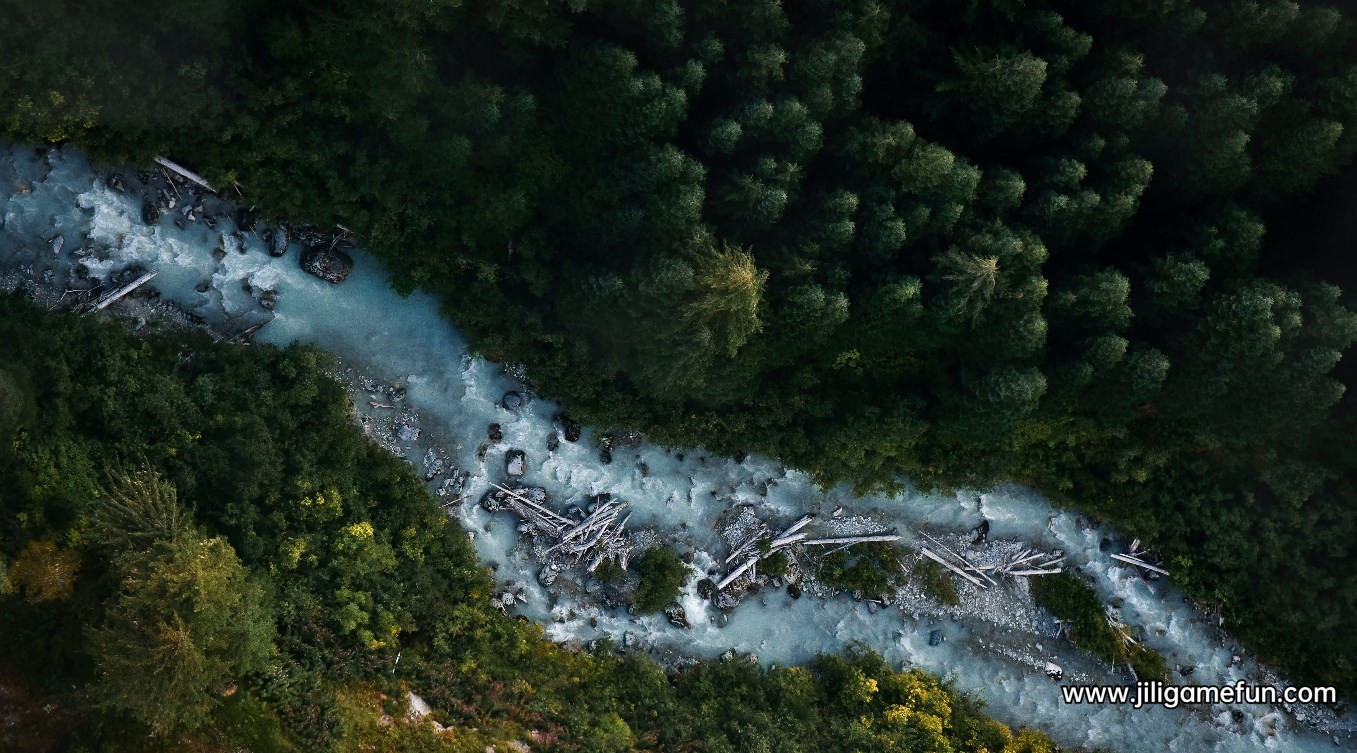 Wallpaper Engine 俯视角航拍森林小河风景 动态壁纸电脑版下载