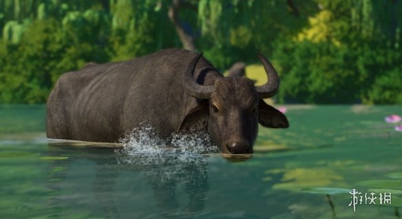 《动物园之星》增添新物种中国水牛MOD电脑版下载