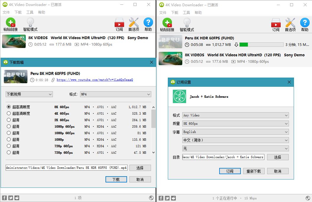 4K Video Downloader高级版电脑版下载v4.21.5.5010