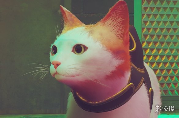 《迷失Stray》可爱橙耳朵白猫MOD电脑版下载