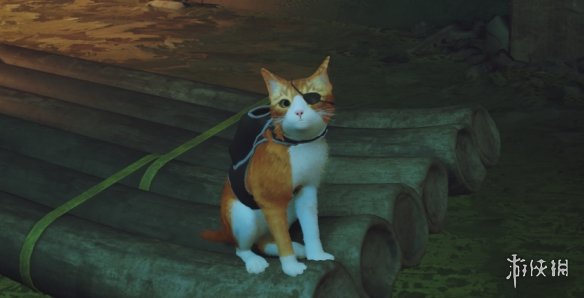《迷失Stray》狂野猫猫眼罩MOD[兼容所有MOD]电脑版下载