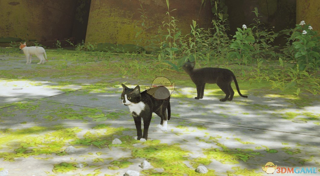 《Stray》加菲猫配色MOD电脑版下载