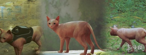 《迷失Stray》丑萌斯芬克斯猫MOD电脑版下载