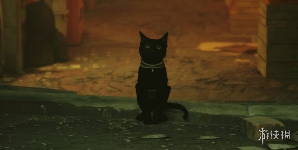 《迷失Stray》黑猫寿司MOD电脑版下载