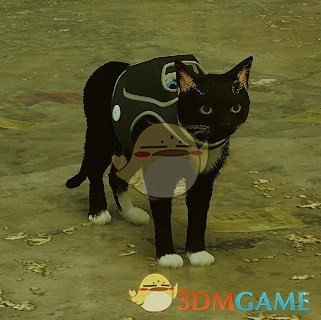 《Stray》白足黑猫MOD电脑版下载