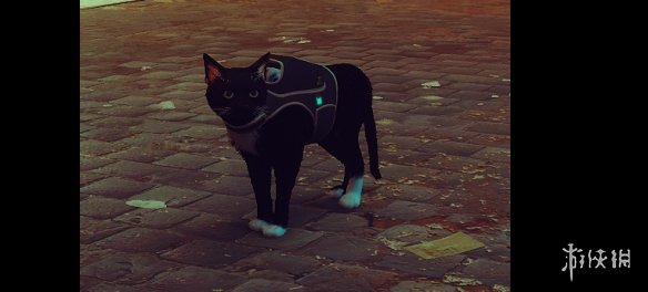 《迷失Stray》白手套黑猫LunaMOD电脑版下载