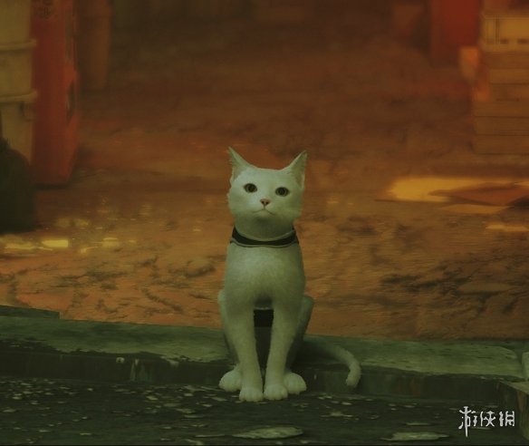 《迷失Stray》可爱的纯净白猫MOD电脑版下载