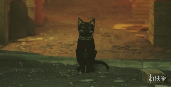 《迷失Stray》纪念猫咪MustafaMOD电脑版下载