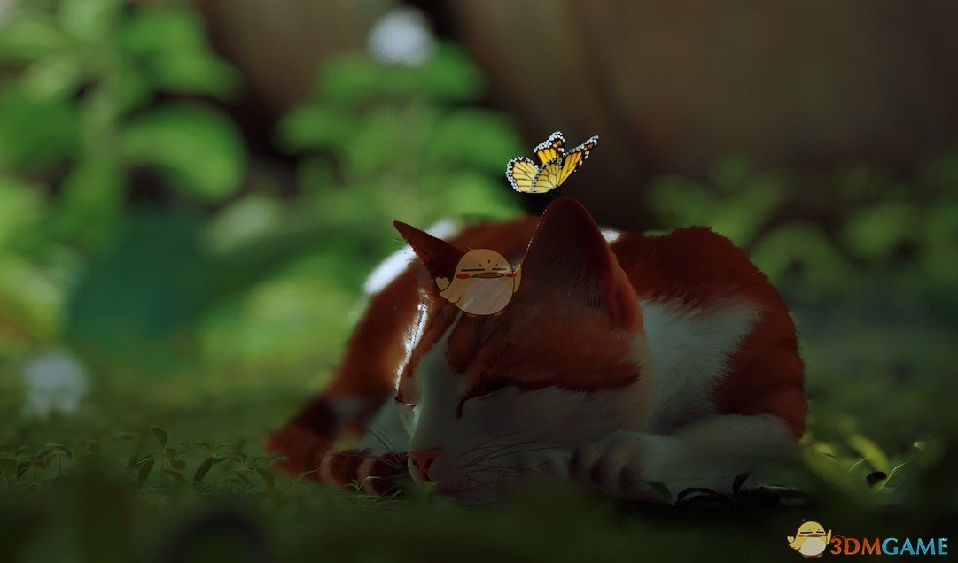 《Stray》经典白橙色虎斑猫MOD电脑版下载