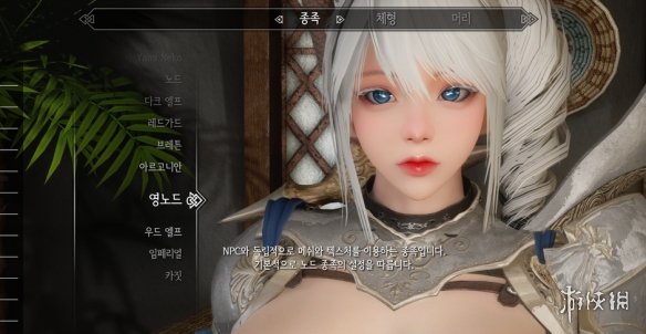 《上古卷轴5：天际重制版》精致骑士小姐姐RM面部预设MOD电脑版下载