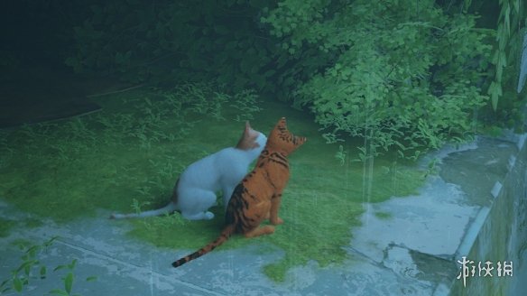《迷失Stray》橙色虎纹猫咪MOD电脑版下载