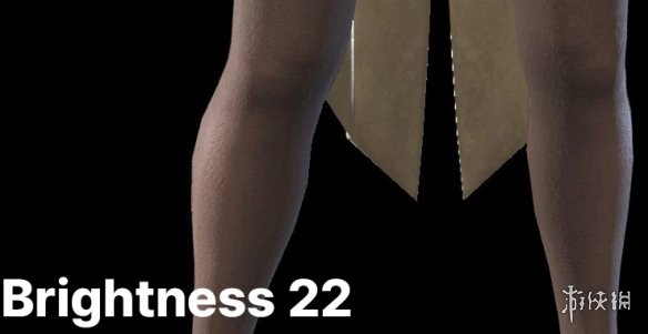 《怪物猎人：崛起》女性拥有大白腿或黑丝袜MOD电脑版下载