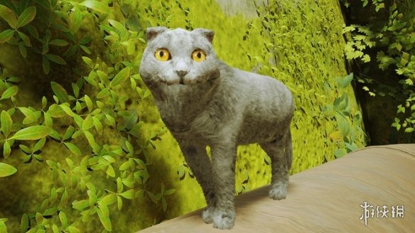 《迷失Stray》苏格兰折耳猫替换所有猫MOD电脑版下载