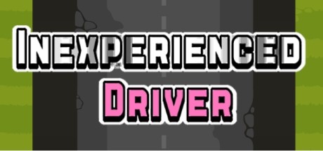 《新手司机 Inexperienced Driver》英文版百度云迅雷下载