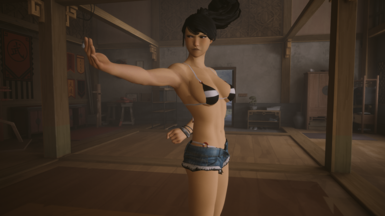 《师父》DOA 6 丽莎（蝴蝶）服装mod电脑版下载