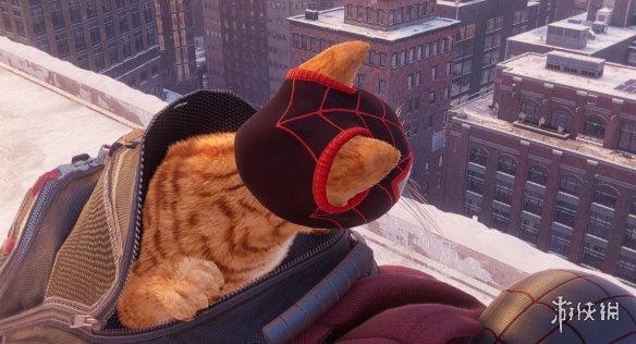 《蜘蛛侠：迈尔斯莫拉莱斯》可爱蜘蛛头罩猫MOD电脑版下载
