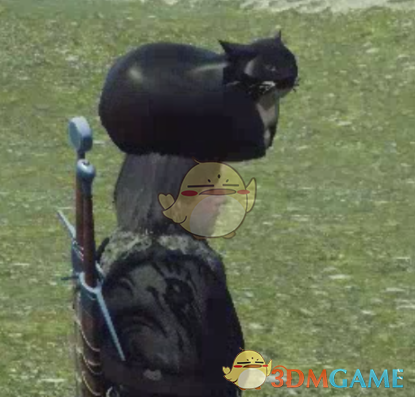 《巫师3：狂猎》把猫顶在头上MOD电脑版下载