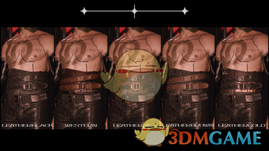 《赛博朋克2077》FRAIL Inc商店-束腰腰带MOD电脑版下载