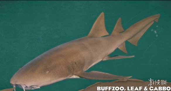 《动物园之星》增添新物种锈色护士鲨MOD[支持v1.13版]电脑版下载