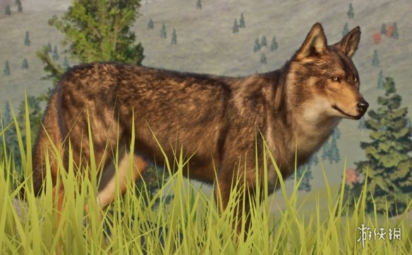 《动物园之星》增添新物种伊比利亚狼MOD[支持v1.13版]电脑版下载
