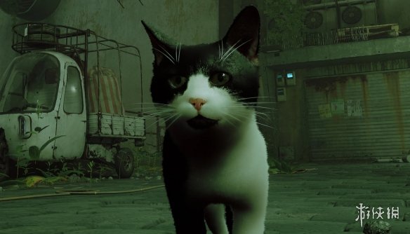 《迷失Stray》佩妮的猫MOD电脑版下载