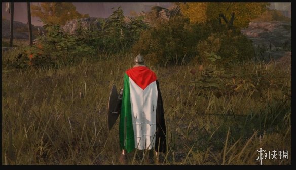 《艾尔登法环》巴勒斯坦国旗骑士披风MOD电脑版下载