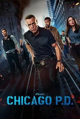 芝加哥警署 第十二季 Chicago P.D. Season 12 (2024)百度云迅雷下载