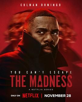 狂乱世道 The Madness (2024)百度云迅雷下载