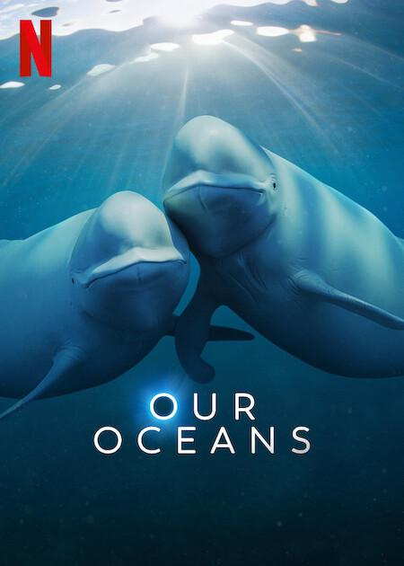 我们的海洋 Our Oceans (2024)百度云迅雷下载