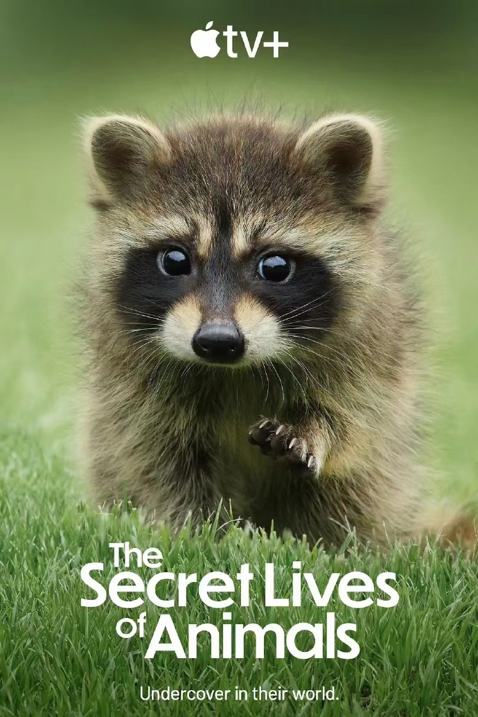 动物的秘密生活 The Secret Lives of Animals (2024)百度云迅雷下载