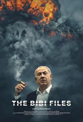 比比档案 The Bibi Files (2024)百度云迅雷下载