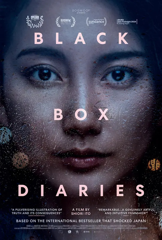 黑箱日记 Black Box Diaries (2024)百度云迅雷下载