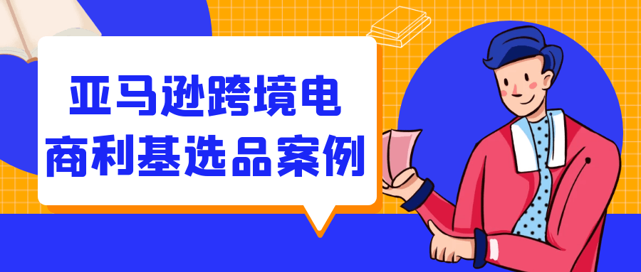 亚马逊跨境电商利基选品案例百度云迅雷下载