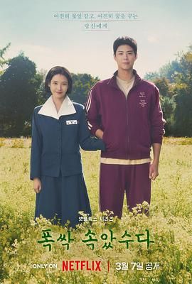 苦尽柑来遇见你 폭싹 속았수다 (2025)百度云迅雷下载
